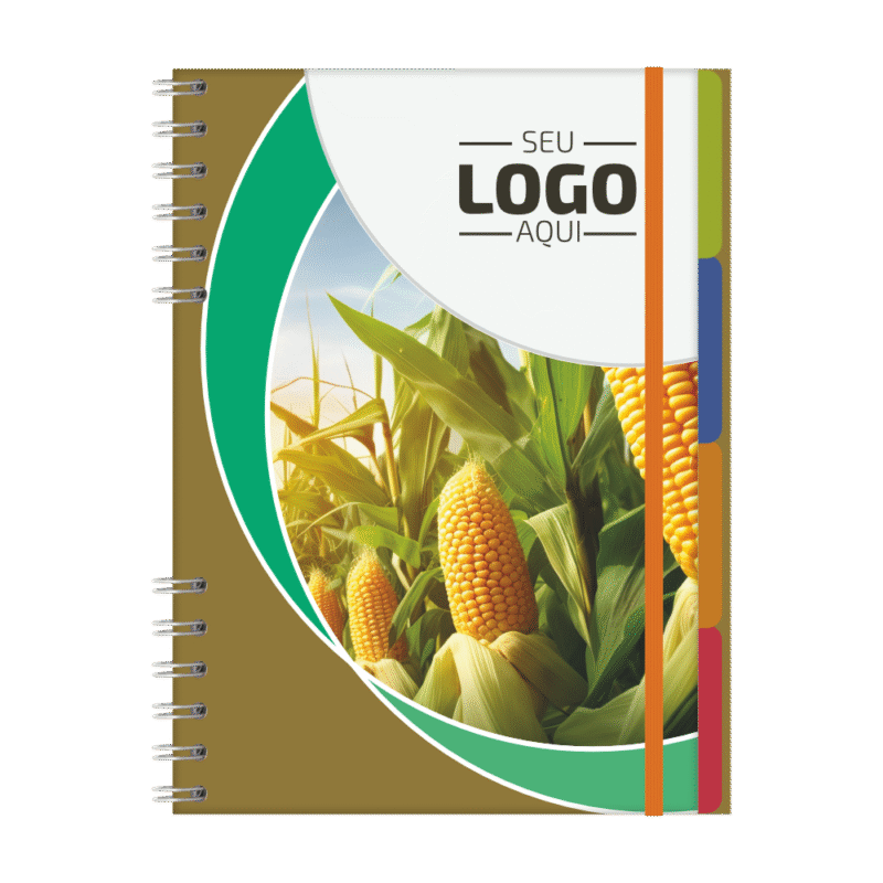 Caderno Organizador Com Divisórias